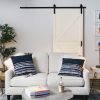 Renin Barn Door