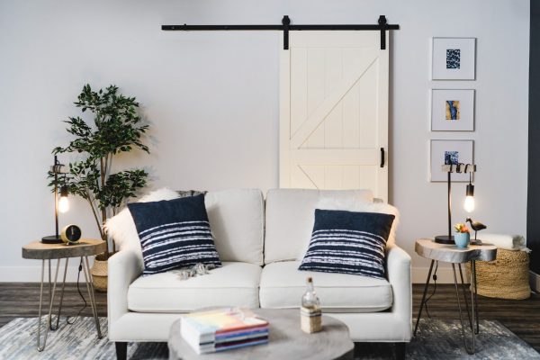 Renin Barn Door